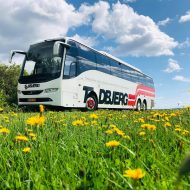 Turistbus i natur Turistbus i natur