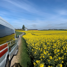 Tdobjerg Minibus kører ved rapsmark