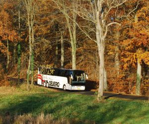 Turistbus i skoven.